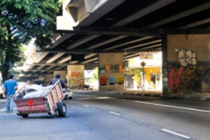 Desmonte Minhocão carrocinha