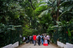 VIGILANCIA EM PARQUES